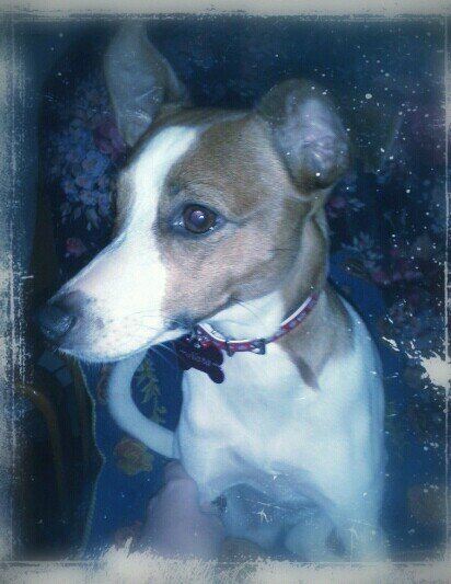 Zuleima9291's profile picture. 