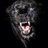 AApache10's profile image