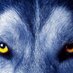 Rommel Medrano (@wolfmedrano) Twitter profile photo