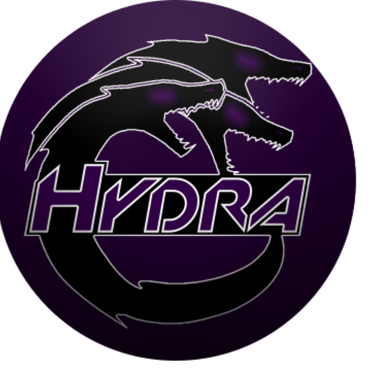 Follow for Scrims and 8s. Competition Call of Duty team. 190 pro points. Total eSports earnings: $9,550