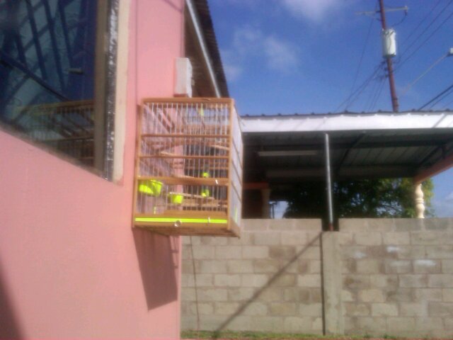 quietvibes's profile picture. 