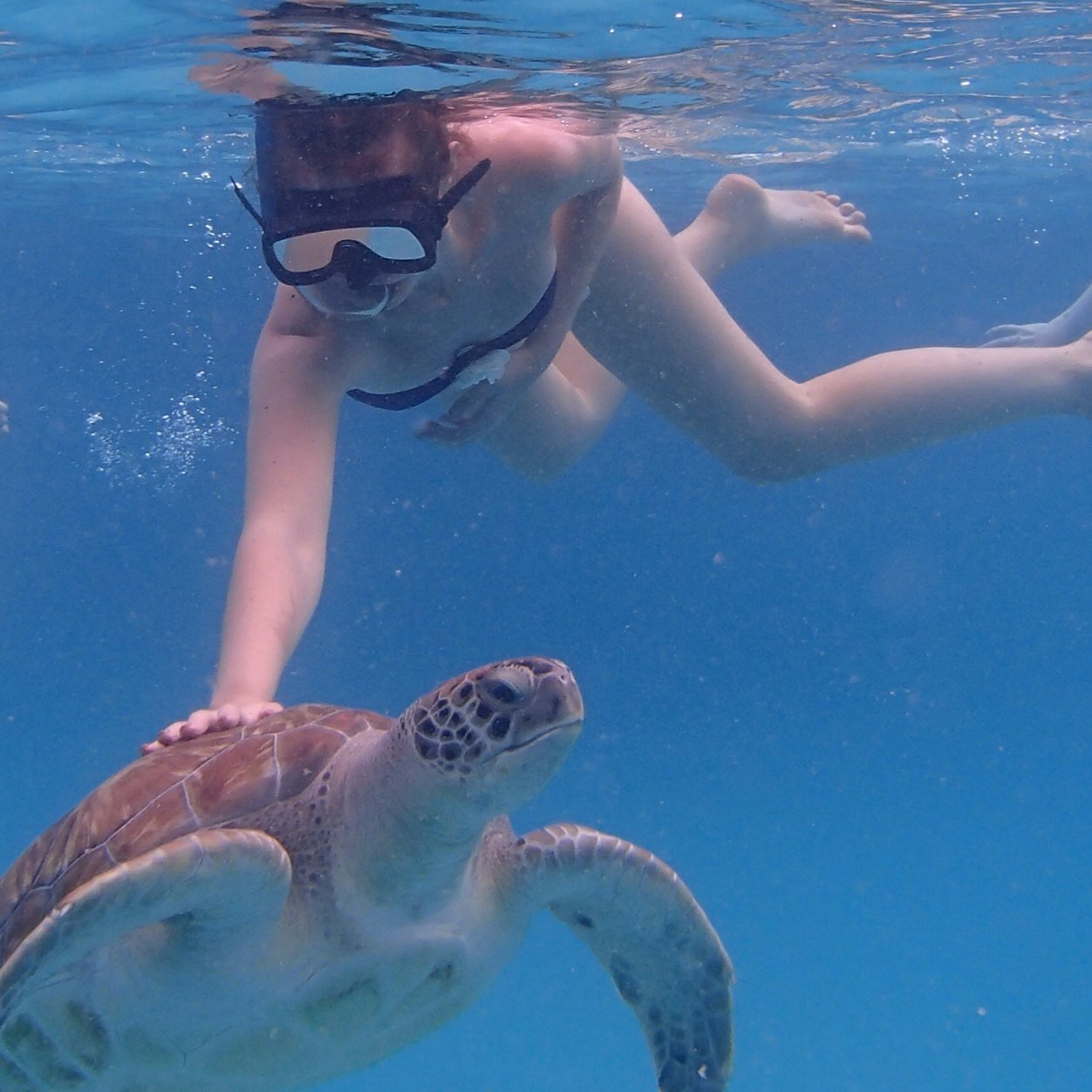 Bryony_Amy's profile picture. Life is what you make it. The time will come when it will flash before your eyes... make it worth watching.