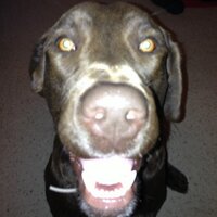 flueg-osyphy (@kwfluegel) 's Twitter Profile Photo flueg-osyphy (@kwfluegel) 's Twitter Profile Photo