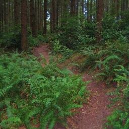 TheEnduroMaster's profile picture. Living, Breathing, Racing, Dominating.  Enduro