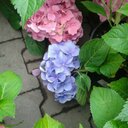 Ewa Sęk - @ewa_sk - Twitter