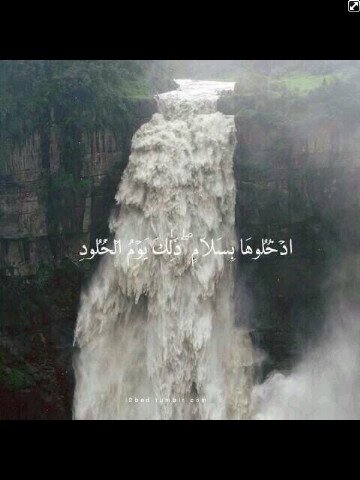 حساب للمتوفيين هاجد وعبدالناصر الحارثي أسأل الله العلي العظيم ان تجعله شفيعاً لهم وتغفرلهم خطاياهم ♥