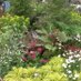 Rob Hardy (@robhardyplants) Twitter profile photo Rob Hardy (@robhardyplants) Twitter profile photo