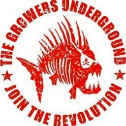 growunderground Profile Picture