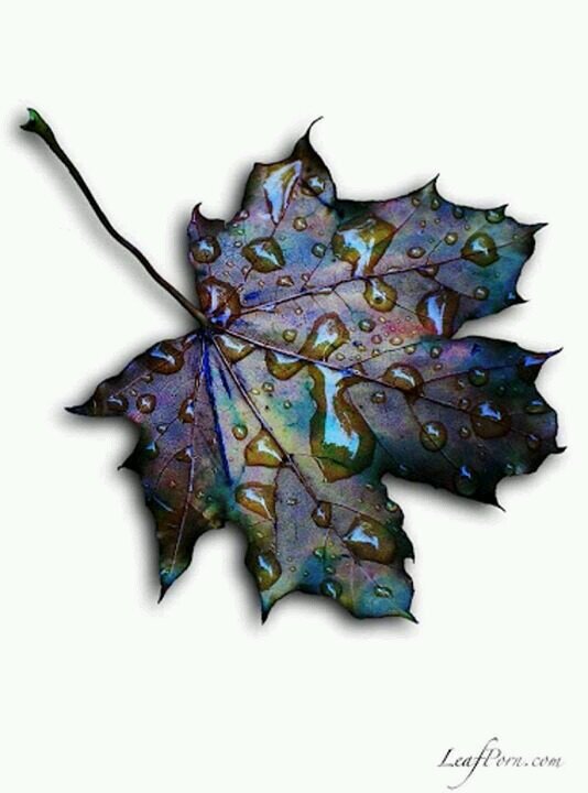 olson_angie's profile picture. 