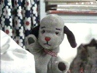 maccwosser's profile picture. 