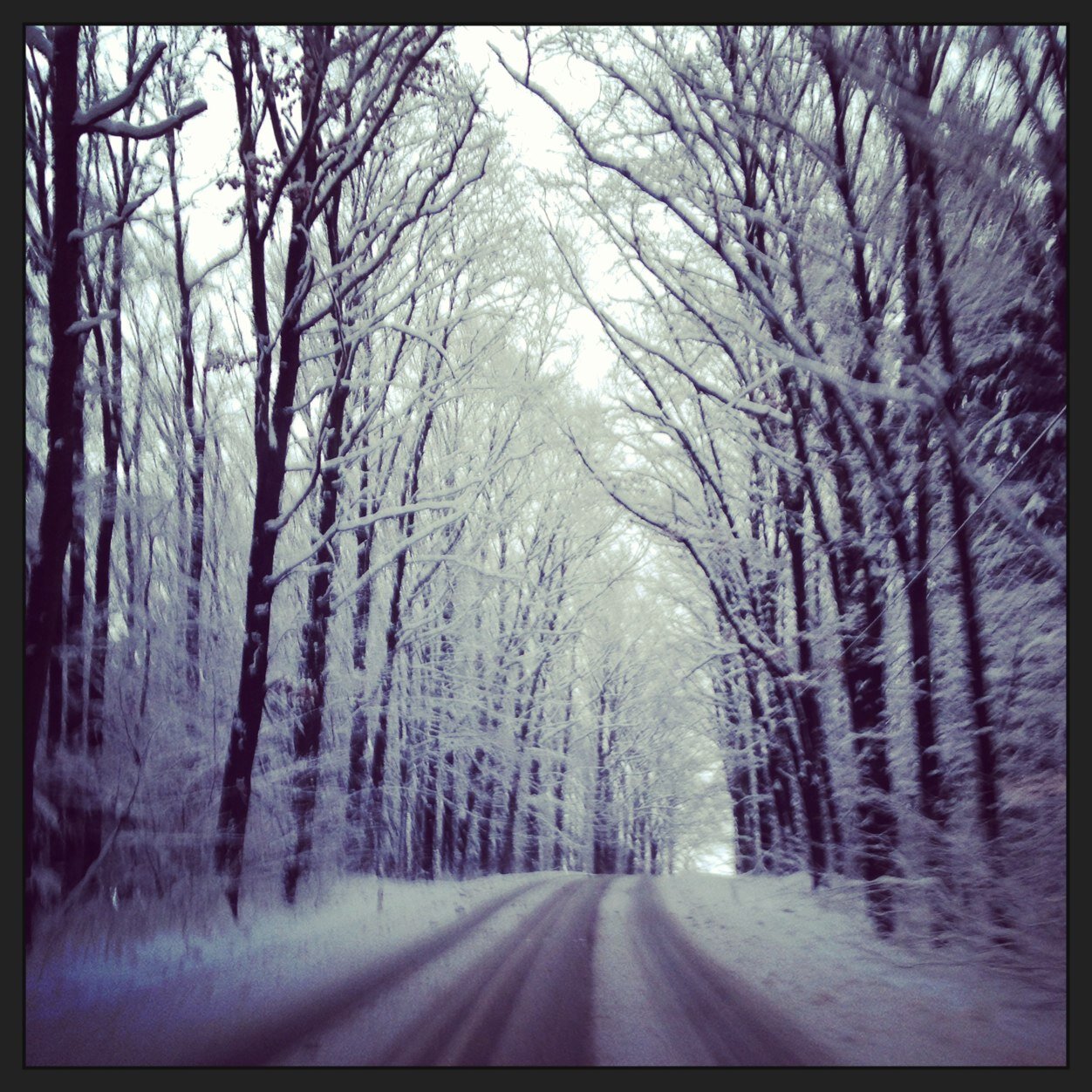 GSernaG's profile picture. Padre, corredor, crossfit  y algun dia maratoniano.