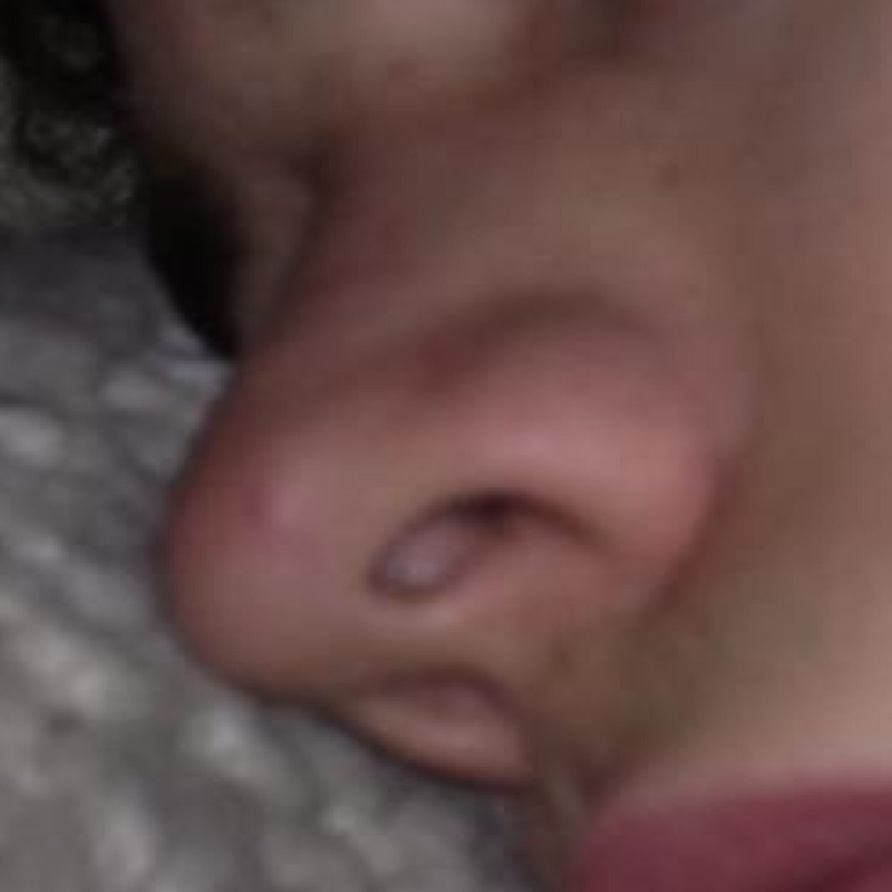 cutenoseharry's profile picture. harry has the cutest prettiest most adorable nose