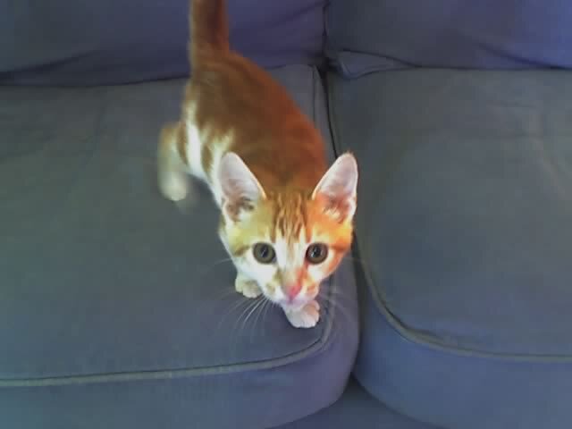 LauraMarieHunt1's profile picture. 