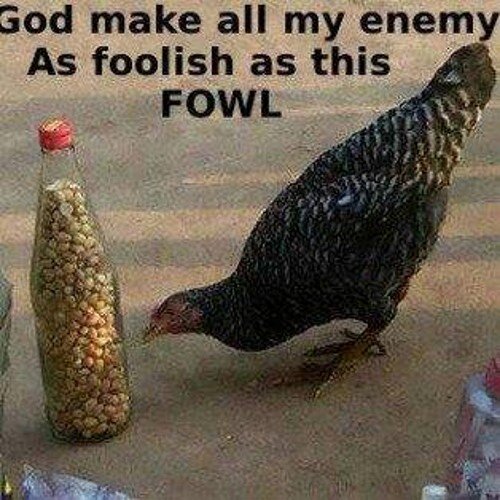 Thomasmatonhod's profile picture. 