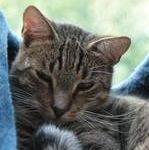 caspatweets's profile picture. 