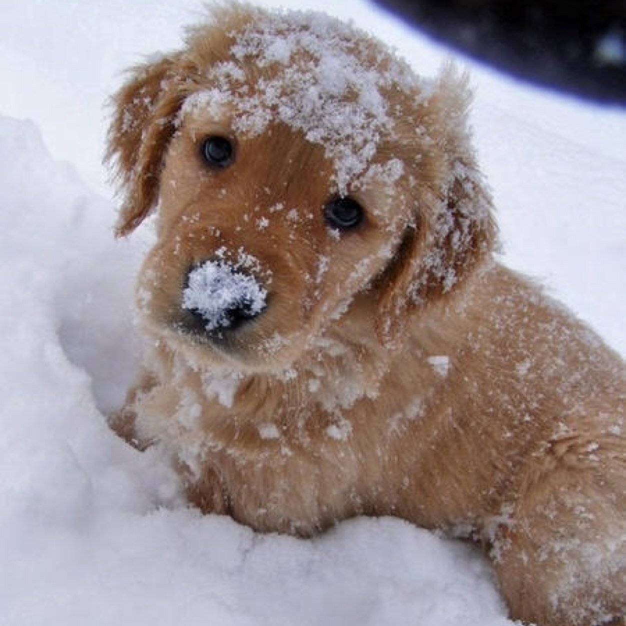 Sandmar777's profile picture. 