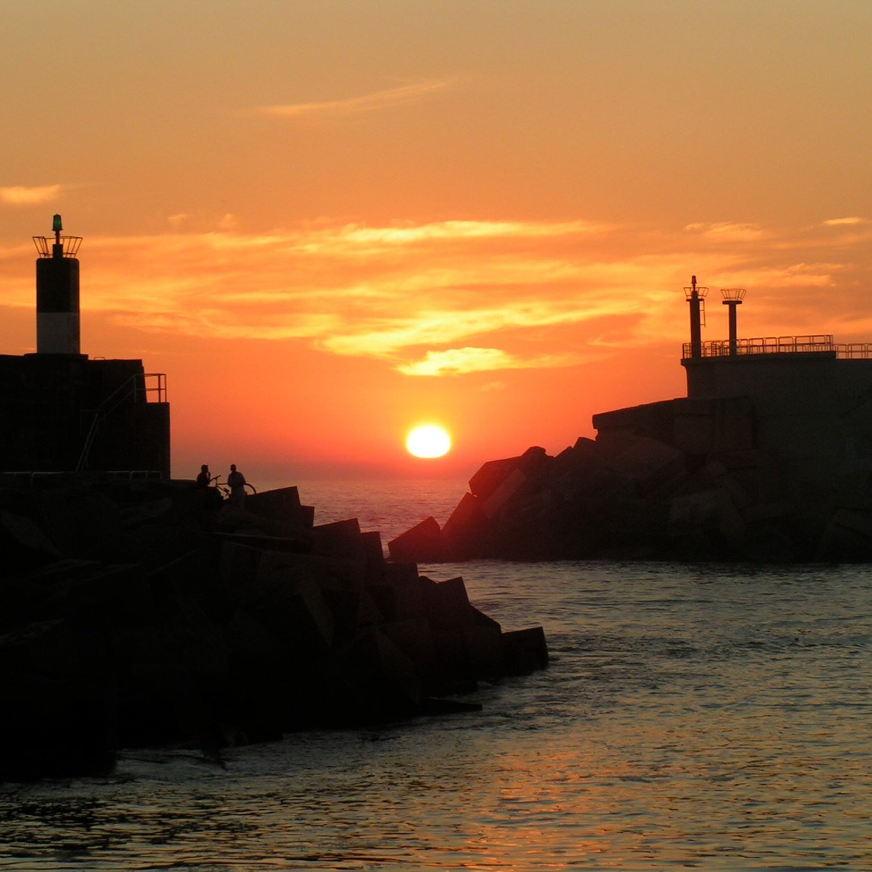 MuozMuvi's profile picture. 