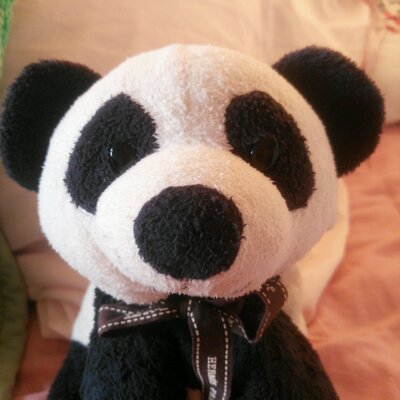 RIPAN85のプロフィール写真