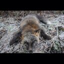 jeff stegall - @jeff_stegall - Twitter