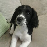 Alan Bourne (@alanbourne4) 's Twitter Profile