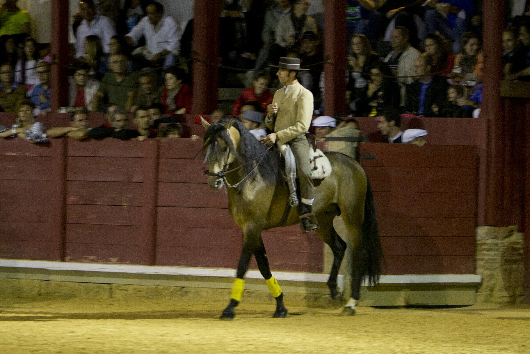 La doma es mi oficio y la garrocha mi afición. Vezdemarbán (Zamora)