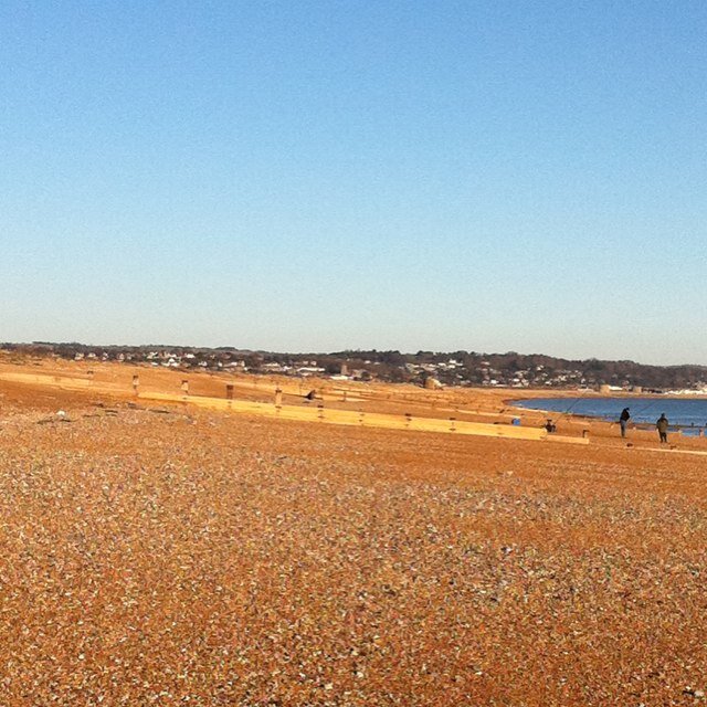 DanPChadwick's profile picture. 