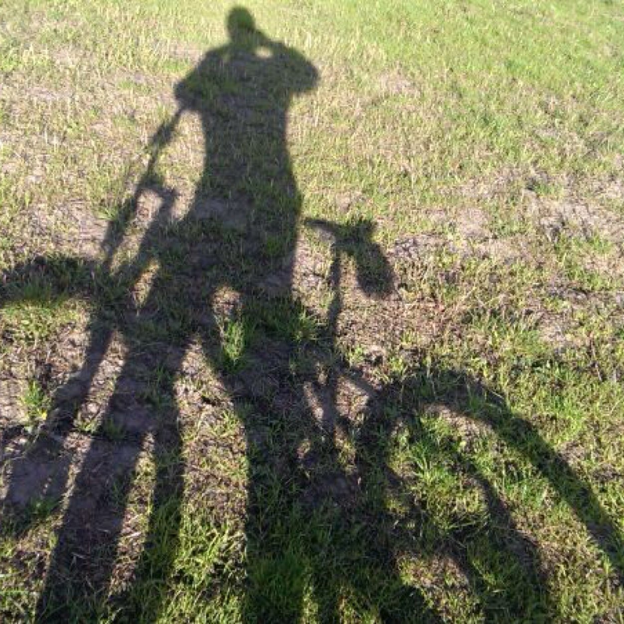 rpeval's profile picture. Official twitter:)