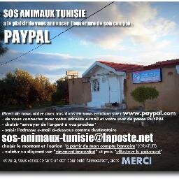 Association à but non lucratif, Refuge pour animaux en détresse