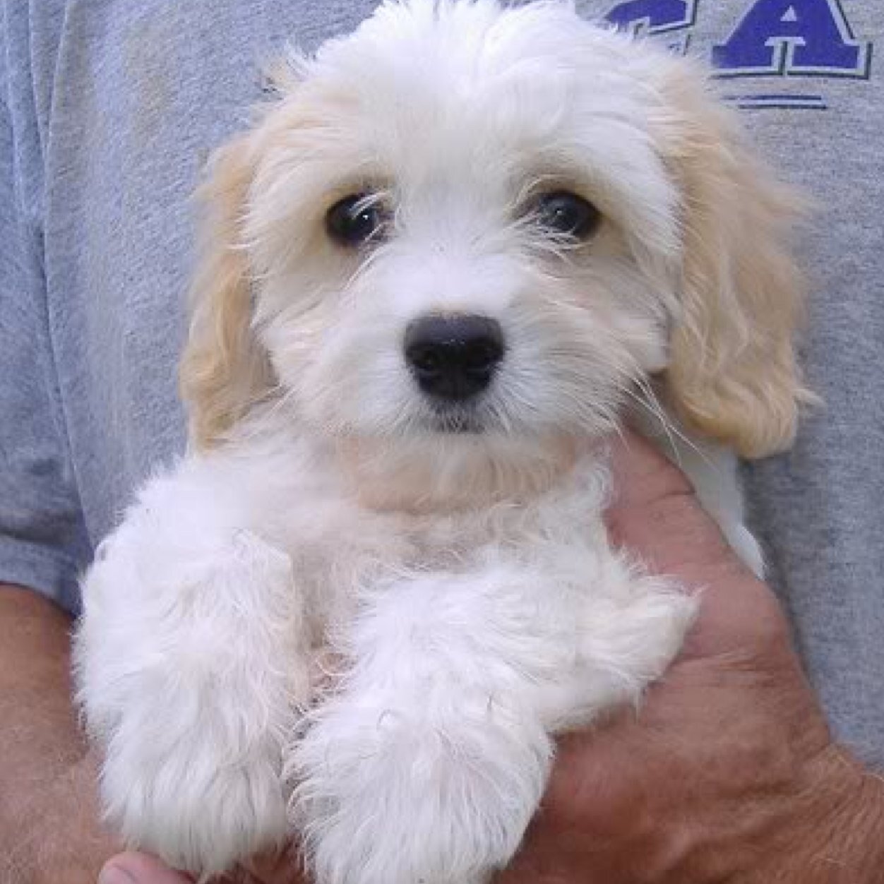 ShaunaCGreene's profile picture. Follow me if you want, if not follow me anyway