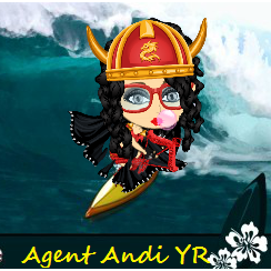 Yorehab Agent Andi