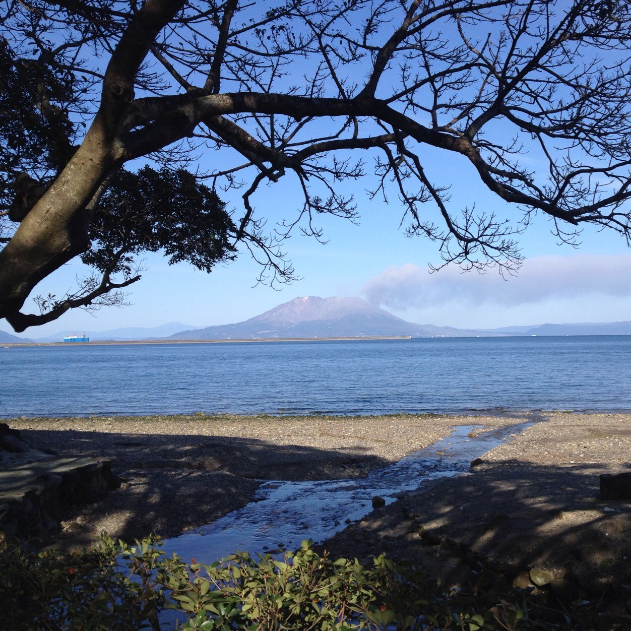 鹿児島を中心に写真などをつぶやきたいと思います！気軽にフォローして下さいね！綺麗な写真！と思った、あなたのココロが綺麗です。