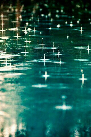 anonymo70581939's profile picture. 