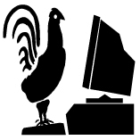 kaicom's profile picture. 