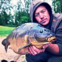 mark bartlett - @MarkBar26724694 - Twitter