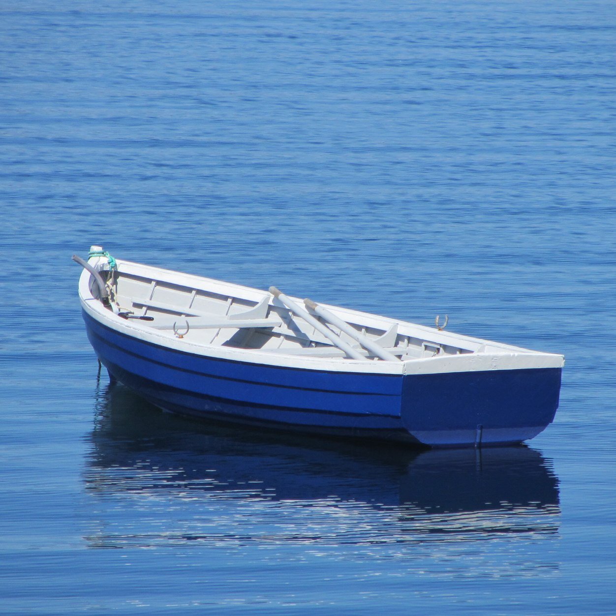 jhw1313's profile picture. 