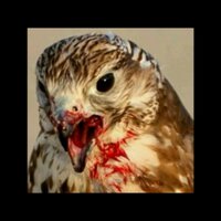 عطشان نيج (@aladshan) Twitter profile photo