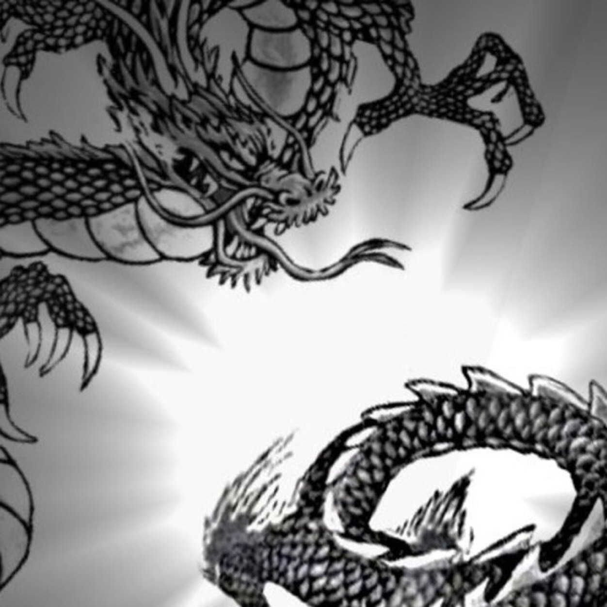 joaocarlo1976's profile picture. 