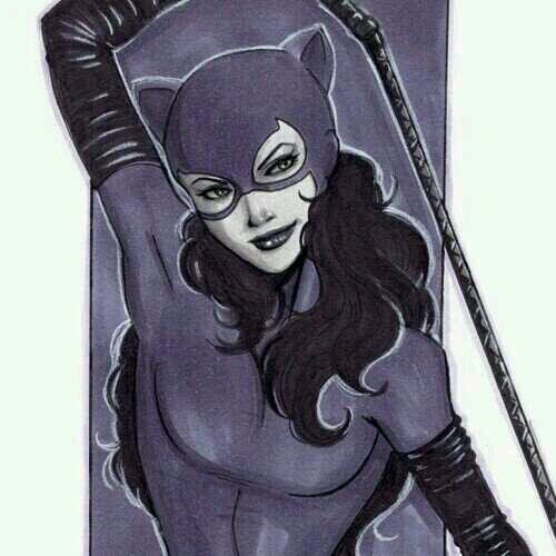 I'm Selena Kyle Aka Cat Women *Dc/Rp*  ~~~Taken By @AcidaceGhost001