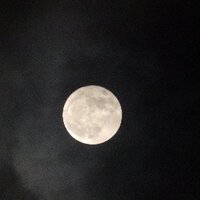 奇山予里 (@kiyamayori) Twitter profile photo