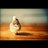 shocora_j