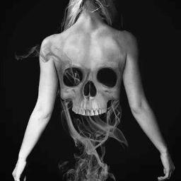 Luis_rablo's profile picture. 