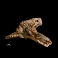 IllinoisArchaeo's profile picture. News and Information on archaeology and historic preservation of Illinois and nearby regions (and other interesting tidbits that catch my eye)