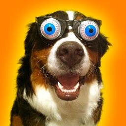 Plenty of funny and interesting videos to keep you amused for hours.  As for all the other important stuff that you are suppose to do? Just do it tomorrow!