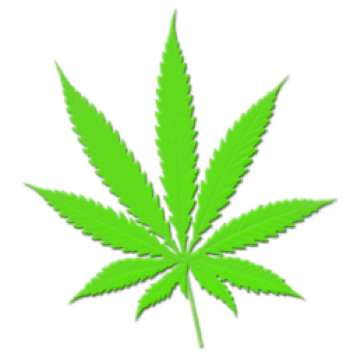 On roule un blunt ? Tout ce qui concerne la weed se trouve ici 
#StonerNation #LesStonersDominentTwitter