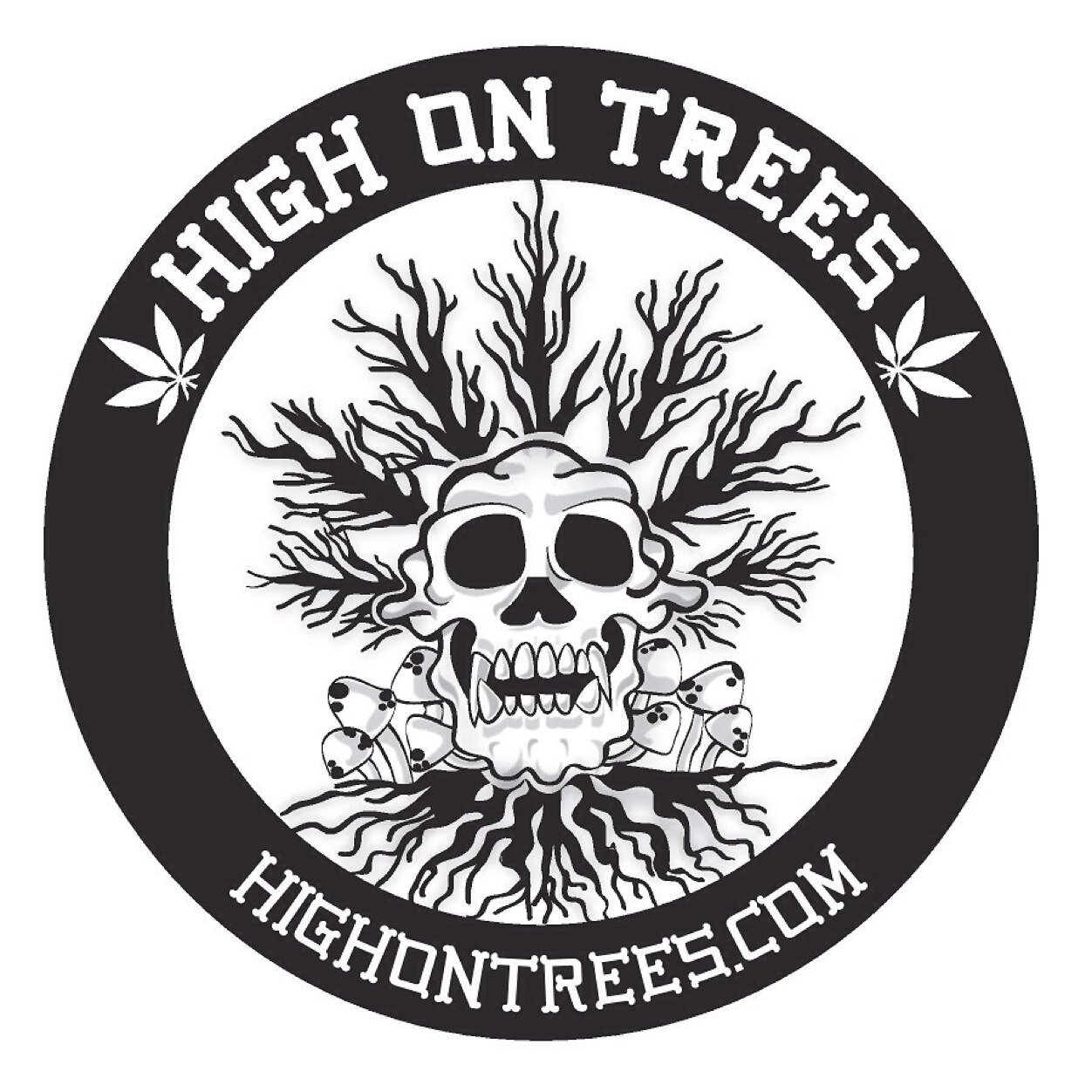 Live comedy productions hosted in Toronto's best 420 friendly environments
#Independent