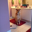 Sharon Kearns - @Skearns0761 - Twitter