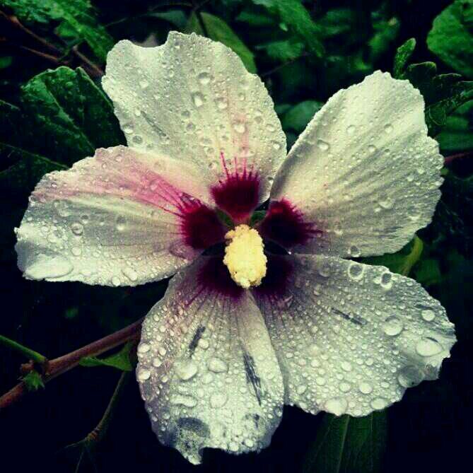 allabwaa's profile picture. اللهم أصلح لي شأني كله