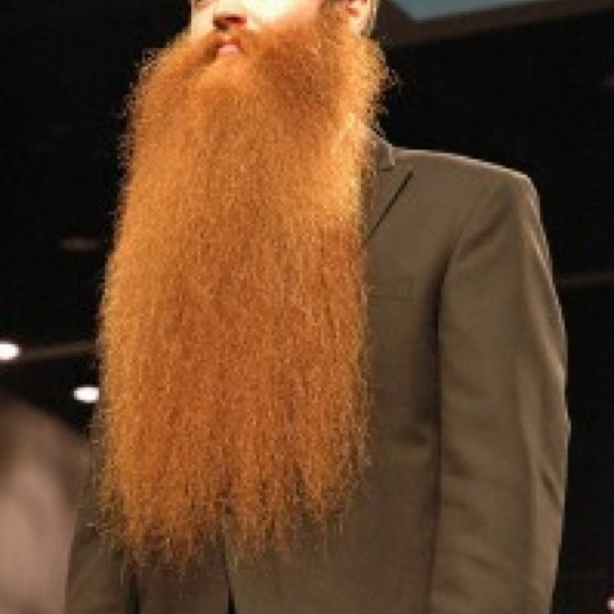 I am the fibers that make the man! Without the beard, there are no champions in this house.