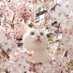 Flower&FlowerArt_Bot (@flowerart_bot) Twitter profile photo