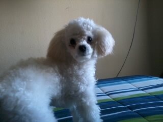 josegalaz40's profile picture. 